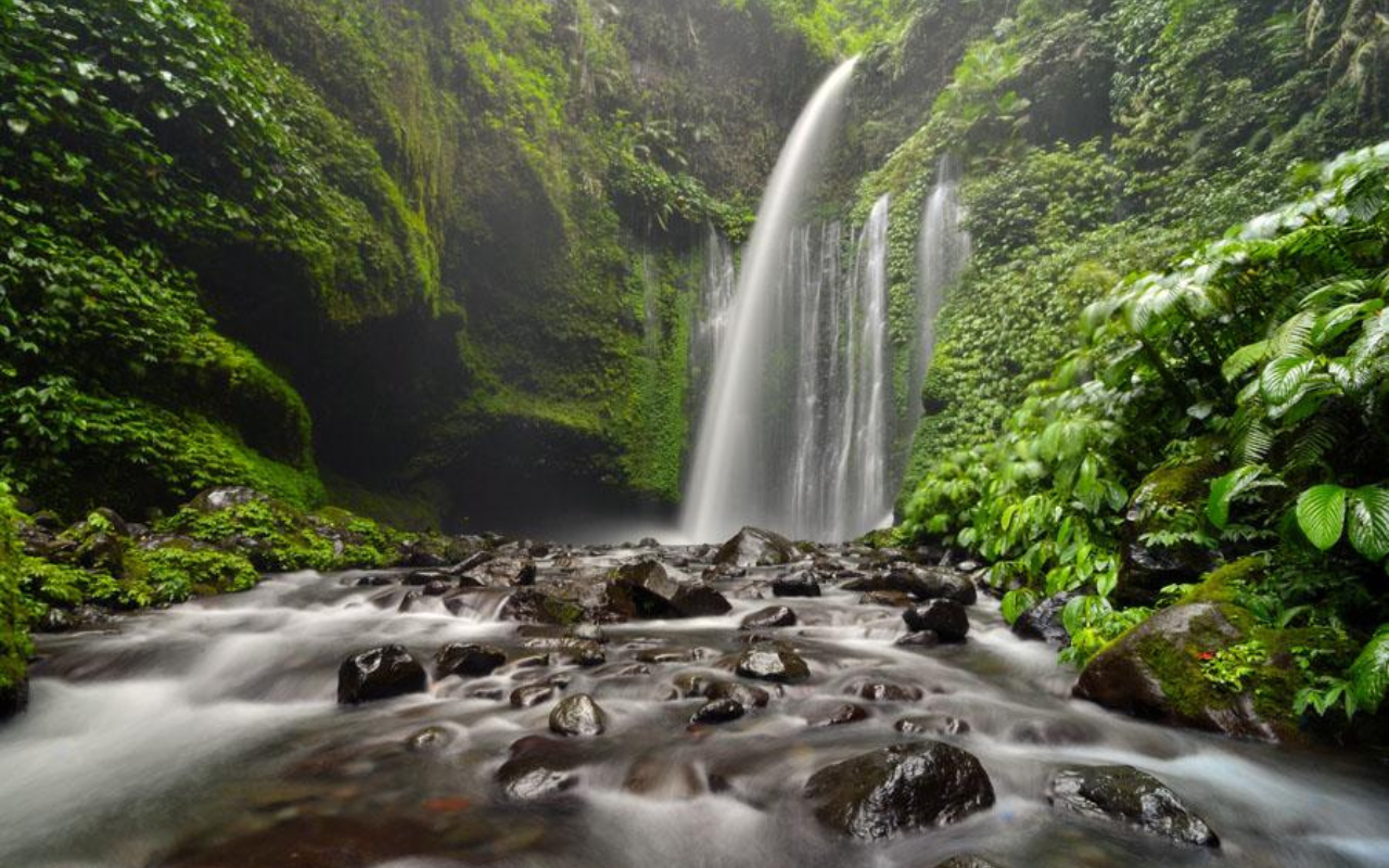 Sendanggile & Tiu Kelep Waterfall Tour photo 4