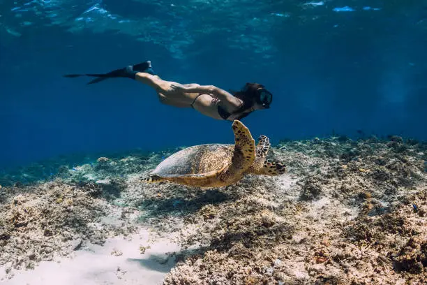 Gili Trawangan Snorkeling Tour photo 3