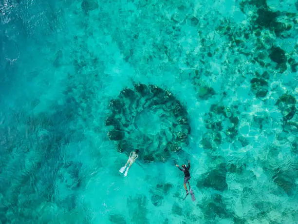 Gili Trawangan Snorkeling Tour photo 2