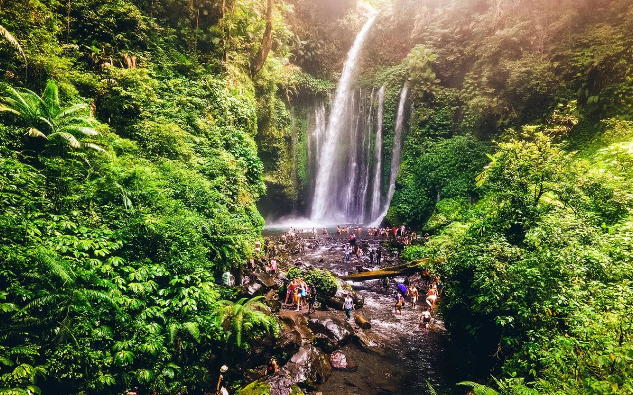Sendanggile & Tiu Kelep Waterfall Tour photo 6