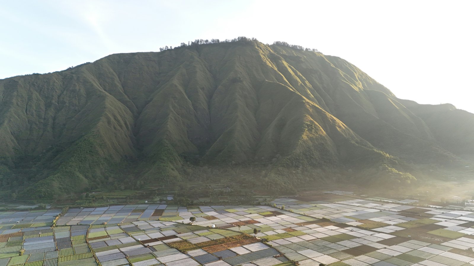Sembalun Highland Tour