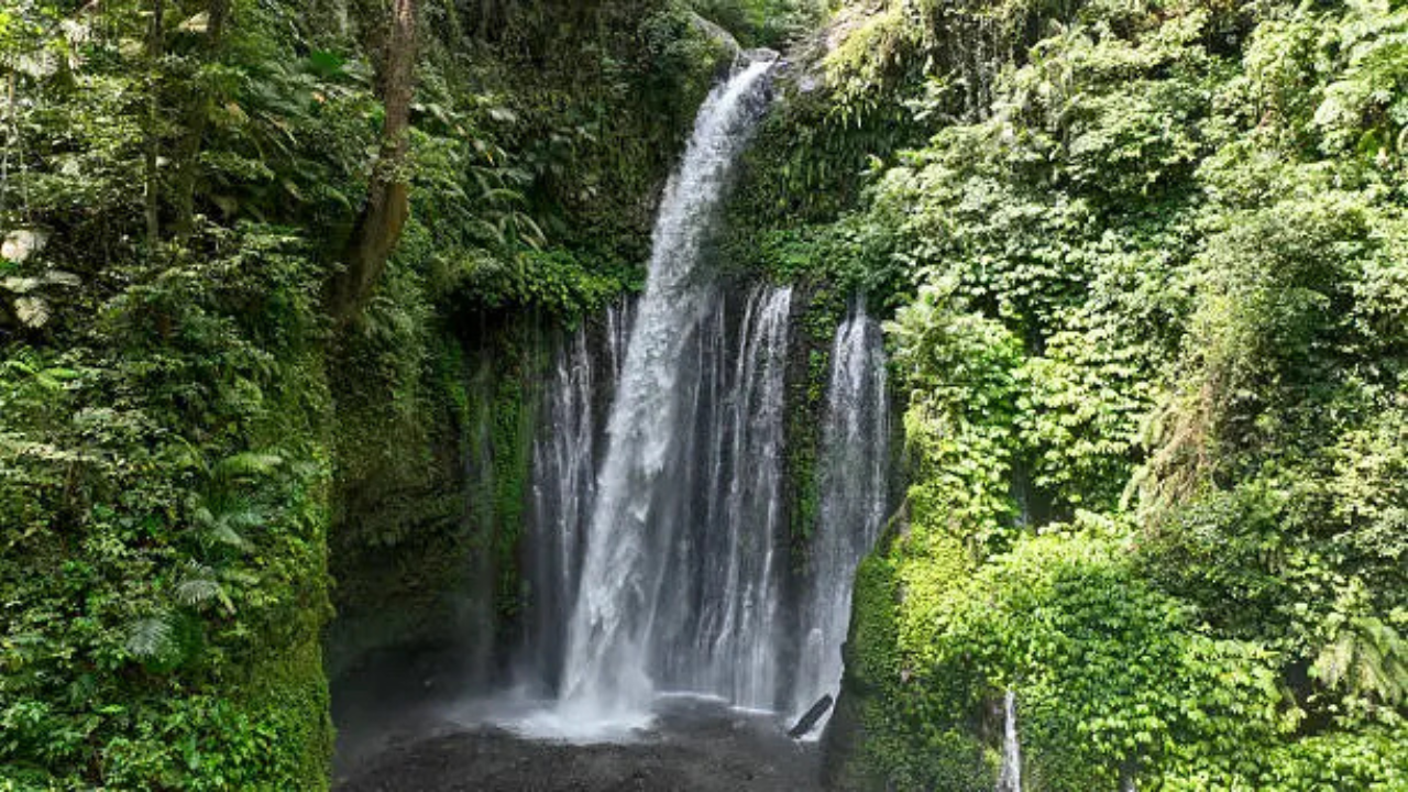 Sendanggile & Tiu Kelep Waterfall Tour
