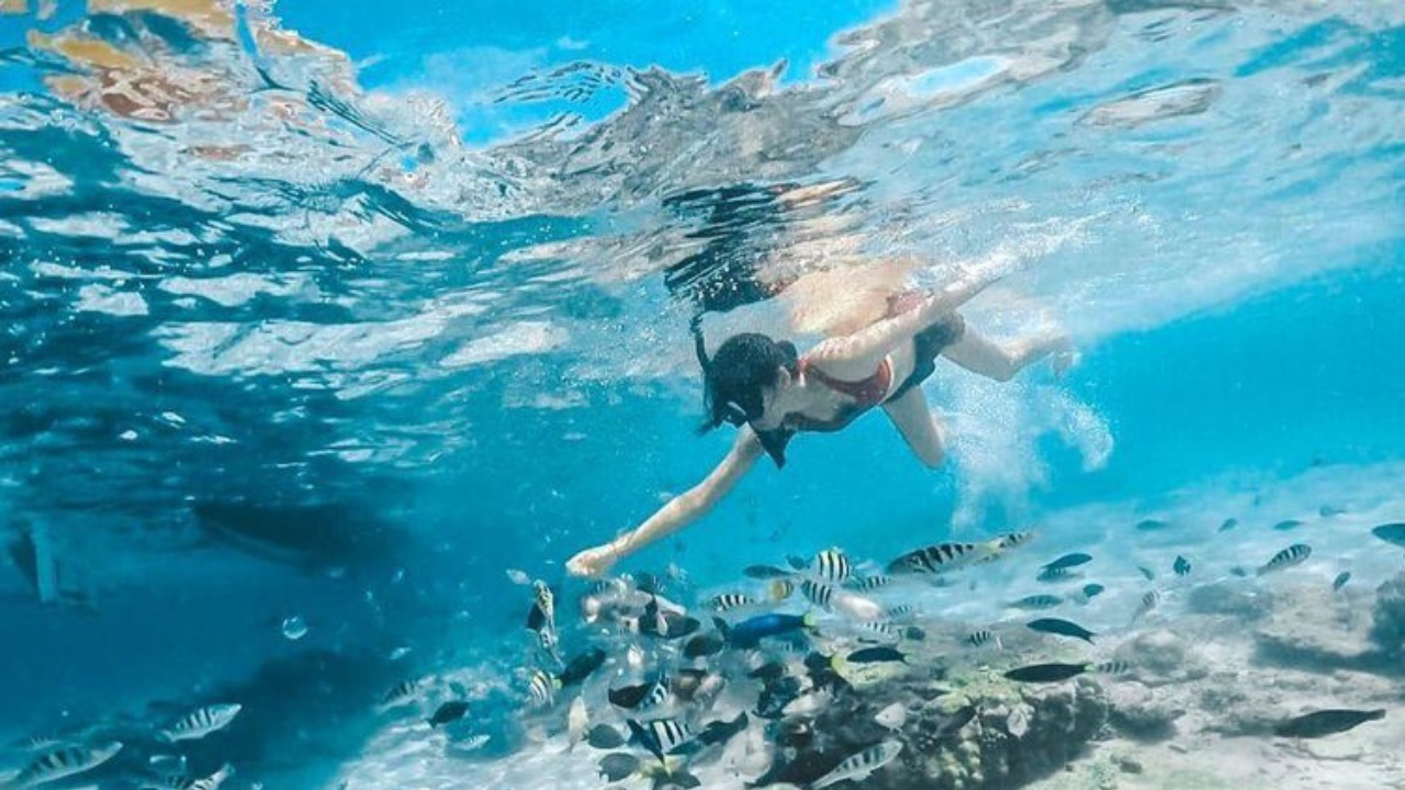 Gili Nanggu Island Hopping Tour photo 6
