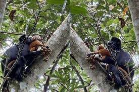 Tetebatu Highland Tour photo 4