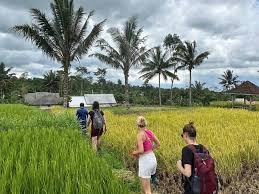 Tetebatu Highland Tour photo 7
