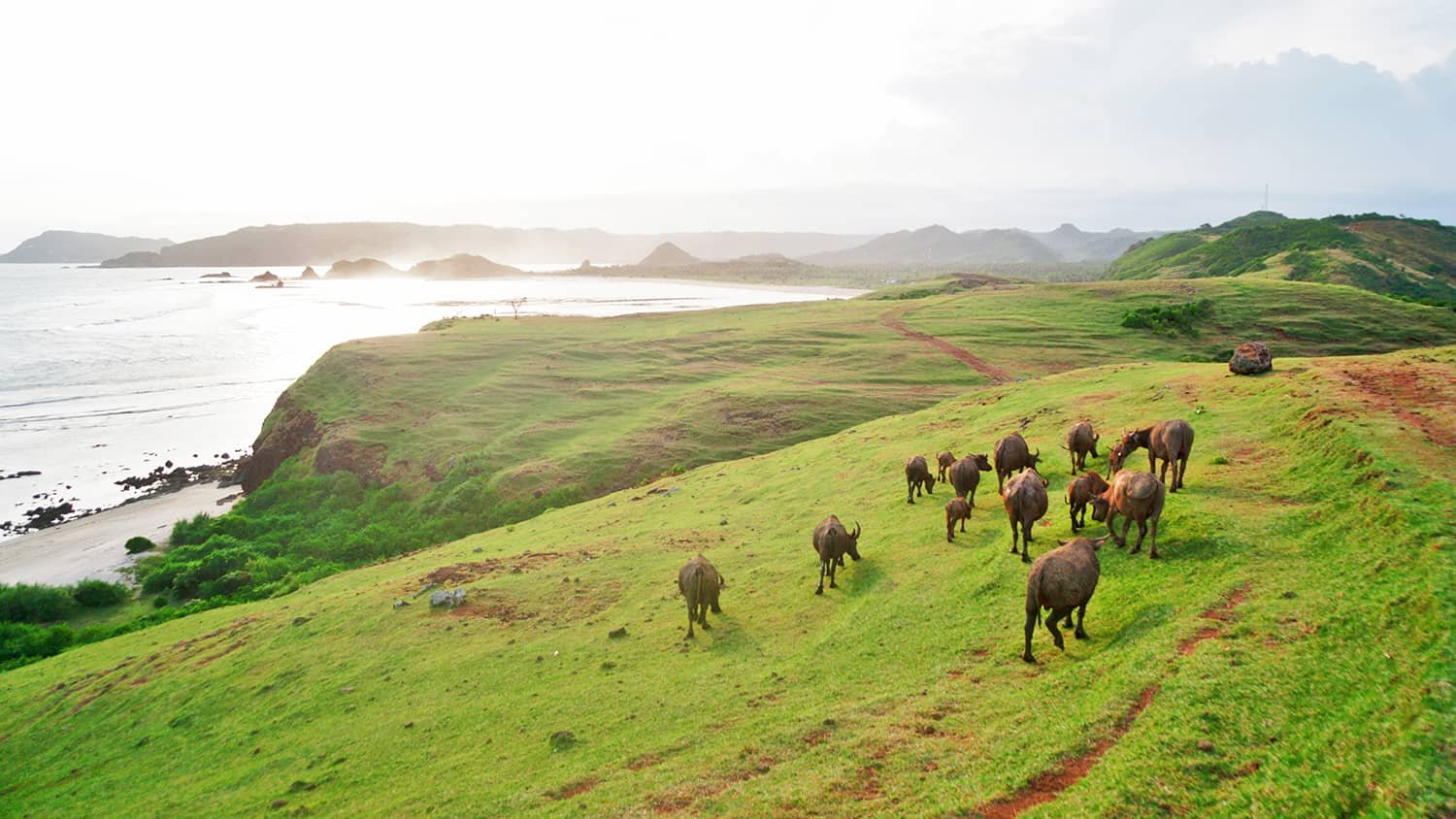 Sasak & Mandalika Tour