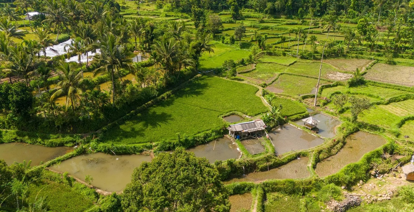 Tetebatu Highland Tour