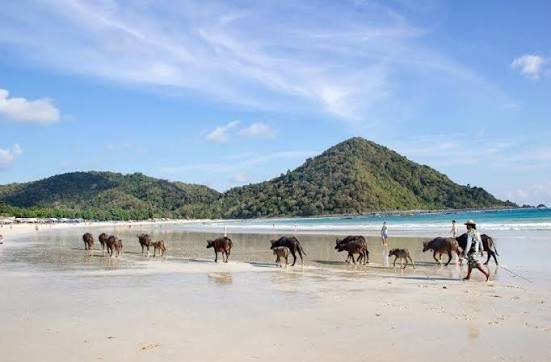 Selong Belanak Tour photo 3
