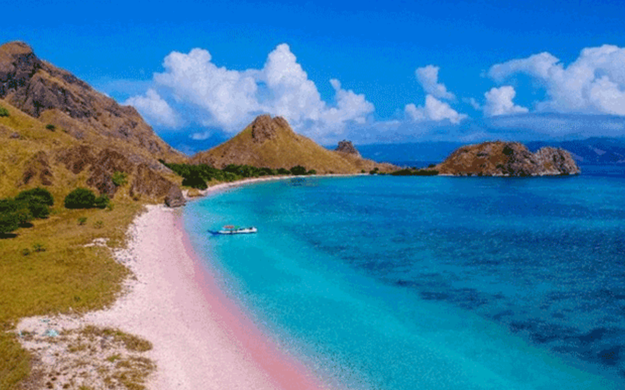 Pink Beach Snorkeling Tour photo 4