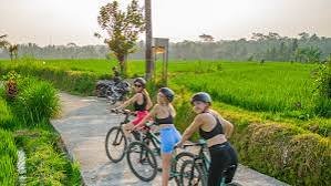 Cycling by Alasan Adventure