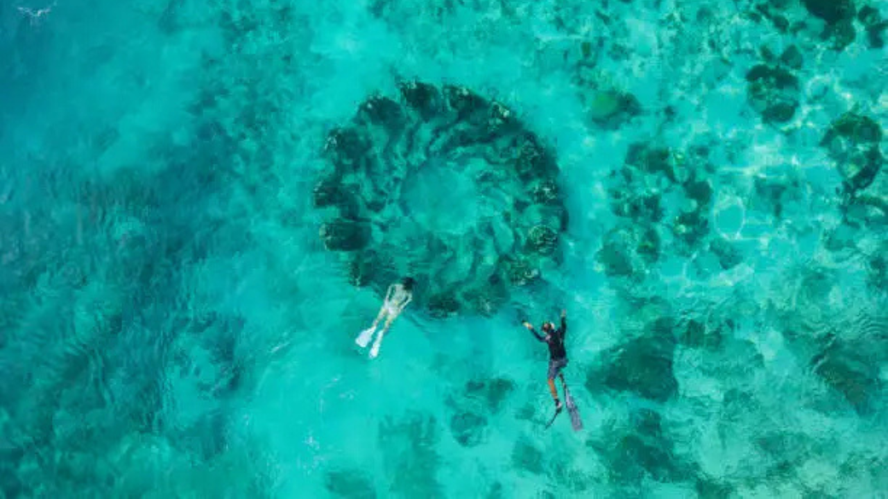 Private Snorkeling Gili Trawangan