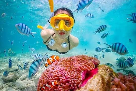 Private Snorkeling Pink Beach Lombok