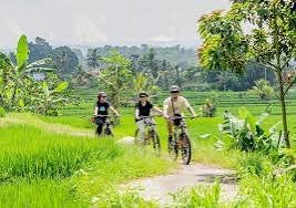 Cycling by Alasan Adventure photo 3