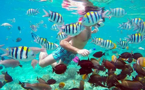 Public Snorkeling Gili Trawangan - 5 Hours photo 2