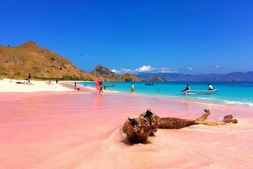 Private Snorkeling Pink Beach Lombok photo 2