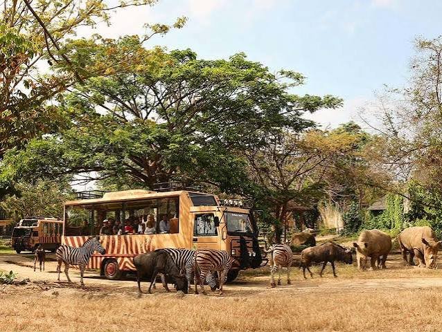 Bali Safari Park photo 2