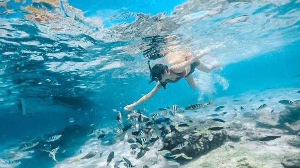 Private Snorkeling Pink Beach Lombok photo 4
