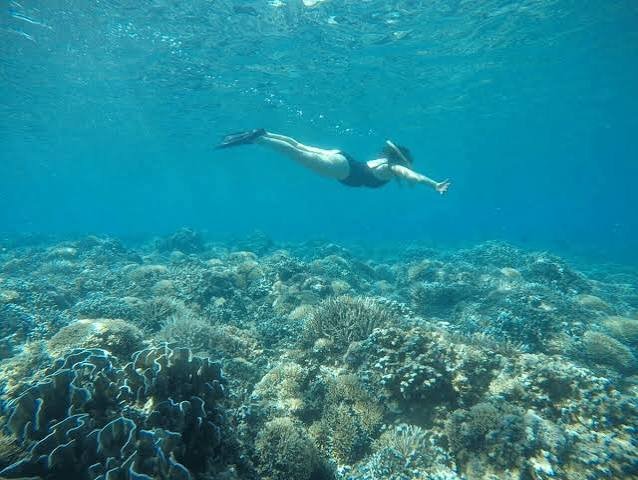 Private Snorkeling Pink Beach Lombok photo 3