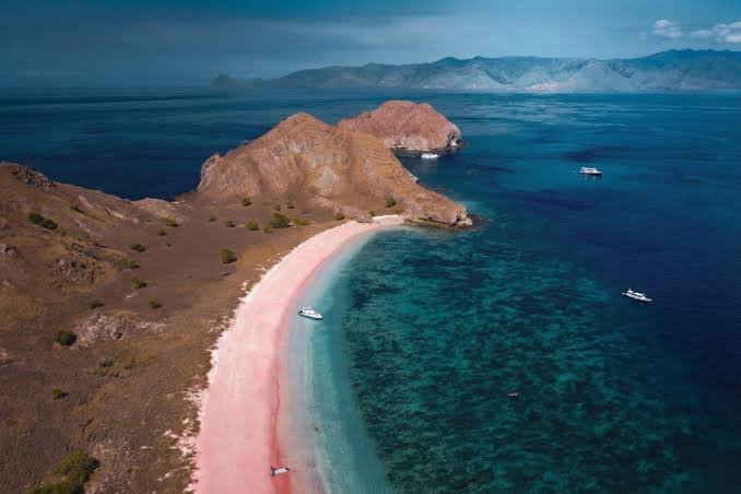 One Day Labuan Bajo  Sailing Trip by Speed Boat photo 7