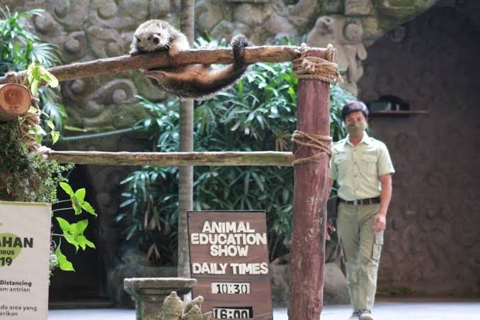 Bali Safari Park photo 3
