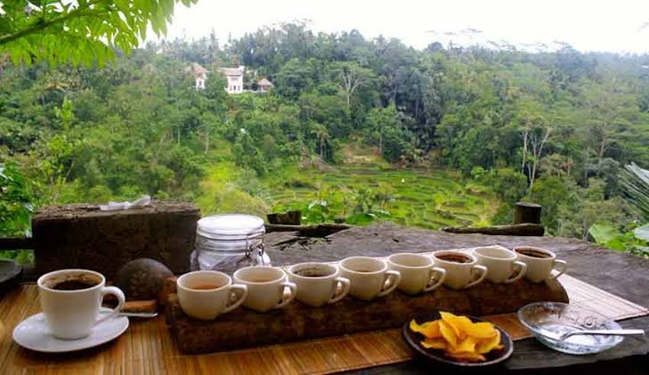 Kintamani & Penglipuran Village Tour photo 3